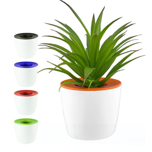 3in Plant Pot